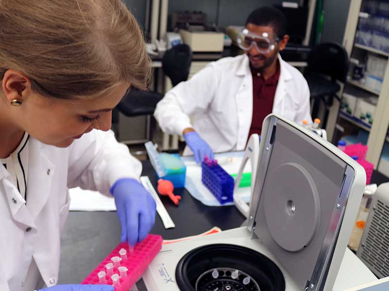 lab researchers loading biological samples into a lab spinner