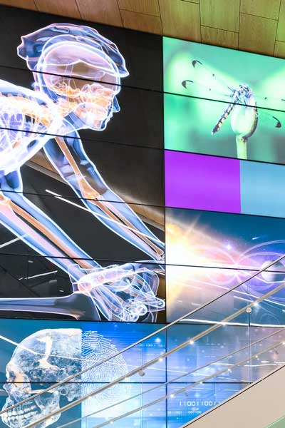 lobby mural along the staircase at the college of humanities and sciences stem building at v.c.u. depicting various stem disciplines